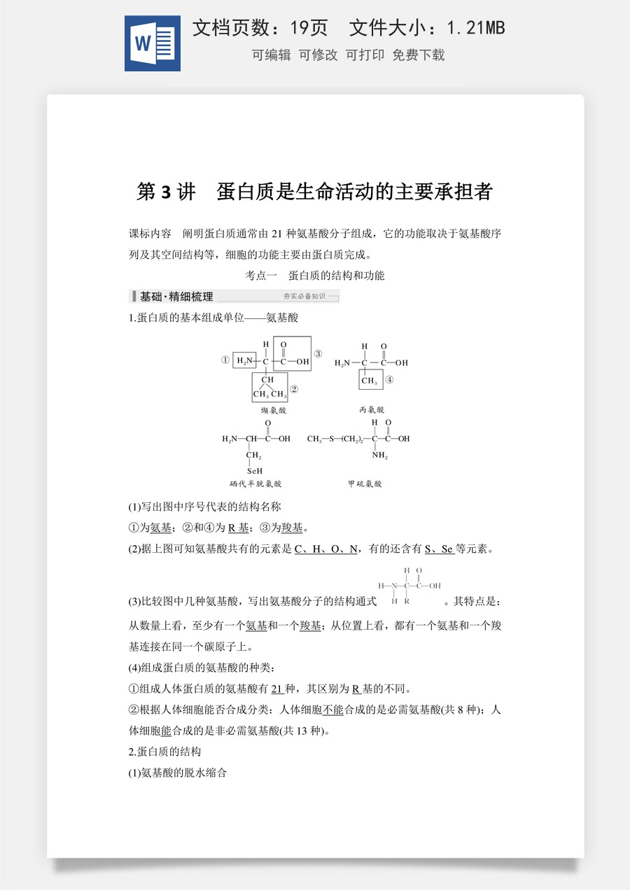 高中-高考总复习-生物-第3讲　蛋白质是生命活动的主要承担者.doc